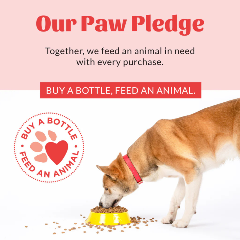 PAW ET BAUME NEZ POUR LES CHIENS ET LES CATS - Probiotic