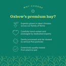 Orchard Grass Hay