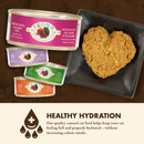 Nourriture pour chats en conserve - Four étoiles - Poulet, canard et saumon Pâté - 5,5 oz
