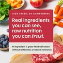 Frozen Raw Dog Food - FreshRaw Meals - Grass Fed Beef Recipe - Adult
