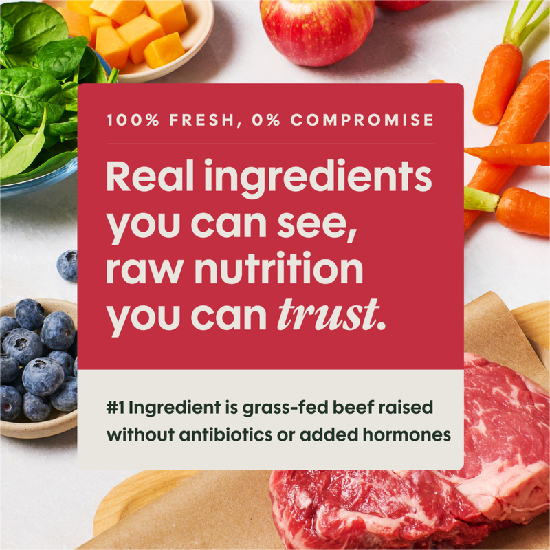 Frozen Raw Dog Food - FreshRaw Meals - Grass Fed Beef Recipe - Adult