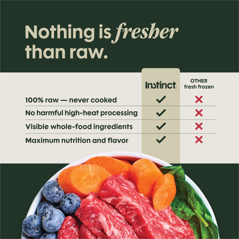 Frozen Raw Dog Food - FreshRaw Meals - Grass Fed Beef Recipe - Adult