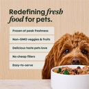 Frozen Raw Dog Food - FreshRaw Meals - Cage Free Turkey Recipe - Adult