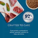 Canned Cat Food - Lamb with Venison
