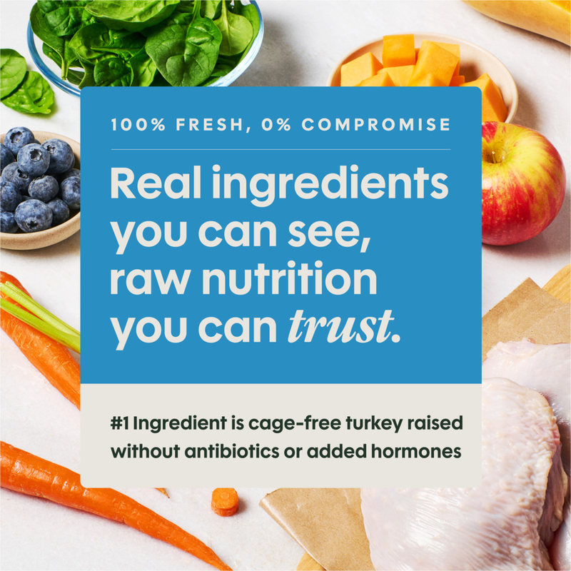 Frozen Raw Dog Food - FreshRaw Meals - Cage Free Turkey Recipe - Adult