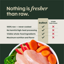 Frozen Raw Dog Food - FreshRaw Meals - Cage Free Turkey Recipe - Adult