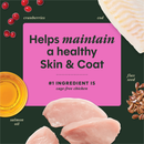 Freeze Dried Dog Food Topper - RAW BOOST MIXERS - Skin & Coat Health