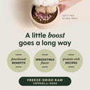 Freeze Dried Dog Food Topper - RAW BOOST MIXERS - Skin & Coat Health