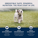 Air Dried Dog Food - Puppy - Chicken & Lamb