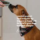 Natural Pet Supplement - Pollen Power