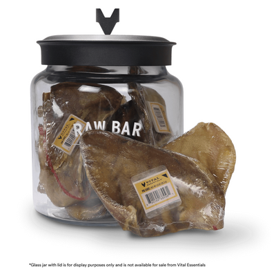 *(Best By 2025-05-02)* Freeze Dried Dog Treat - RAW BAR - Pig Ear - 1 pc