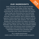 Dry Dog Food - RAW BOOST - Real Chicken Recipe - Small Breed