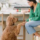 Natural Dog Supplement - Immune Support+, Turkey Tail Mushroom