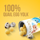 Freeze Dried Dog & Cat Treat - Quail Egg Yolk