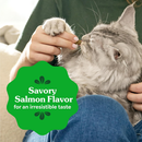 Cat Dental Treat - Savory Salmon Flavor