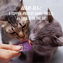 猫咪零食 - STIX - 丝滑肉泥猫条 - 鸭肉慕斯 - 0.5盎司 x 6