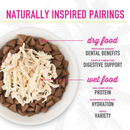 猫咪零食 - STIX - 丝滑肉泥猫条 - 鸭肉慕斯 - 0.5盎司 x 6