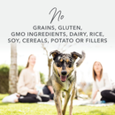 Canned Dog Food - Lamb Feast