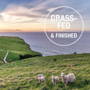 Canned Dog Food - Lamb Feast