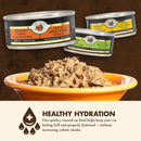 猫罐头 - FOUR STAR系列 - 火鸡肉肉丝佐肉汁主食配方 - 5.5盎司