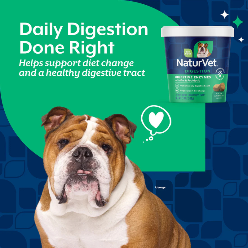 Dog Supplement - Digestive Enzymes Soft Chews