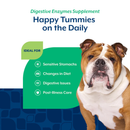 Dog Supplement - Digestive Enzymes Soft Chews