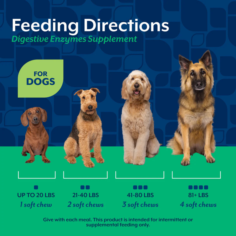 Dog Supplement - Digestive Enzymes Soft Chews