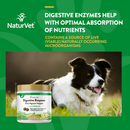 Dog Supplement - Digestive Enzymes Soft Chews