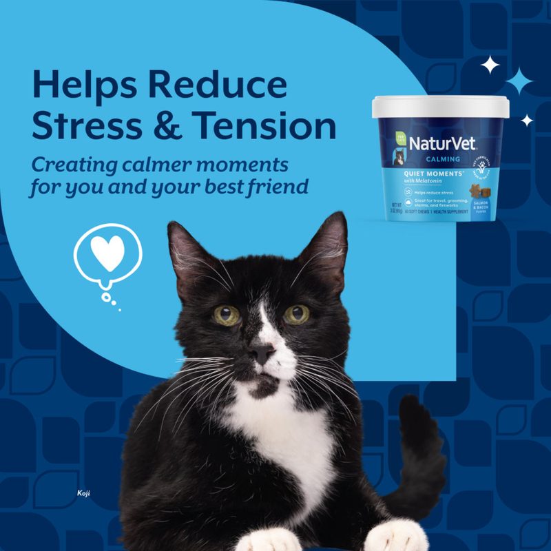 Cat Supplement - Quiet Moments - Calming Soft Chews