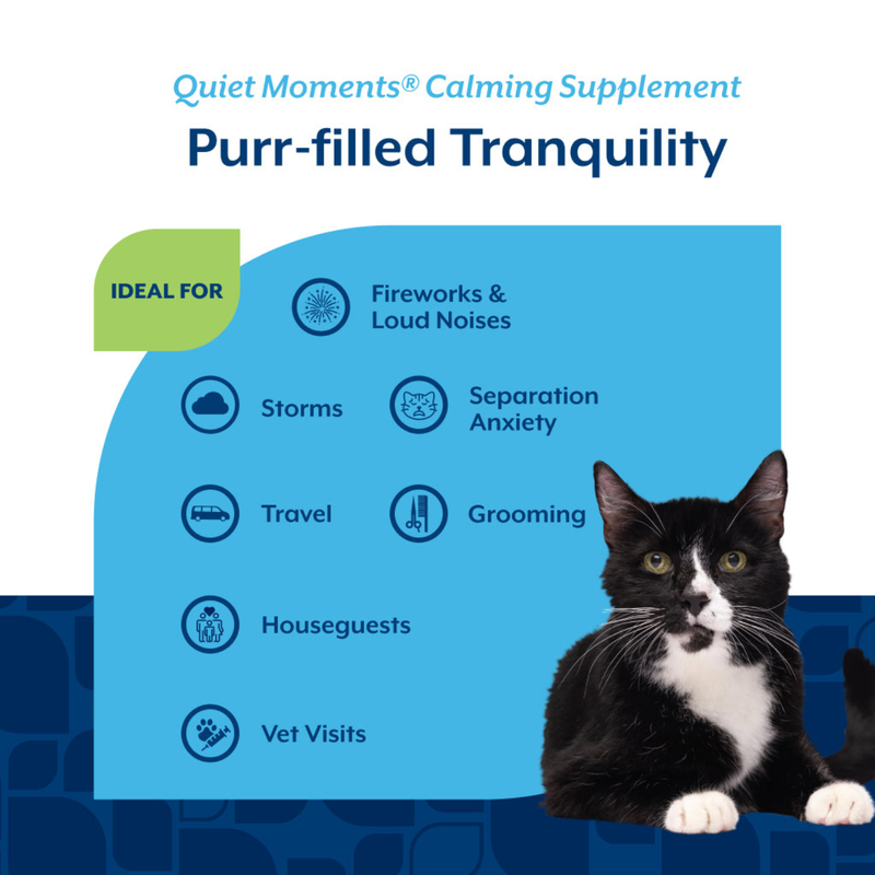 Cat Supplement - Quiet Moments - Calming Soft Chews