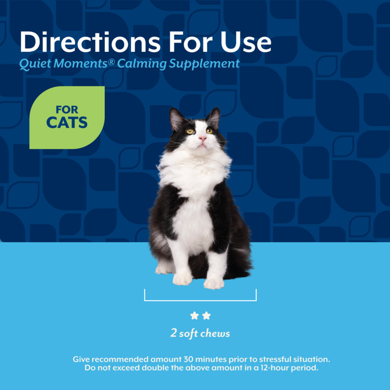 Cat Supplement - Quiet Moments - Calming Soft Chews