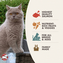 Dry Cat Food - FOUR STAR - Salmon Tunachovy Recipe