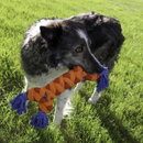 Dog Rope Toy - Rally Rope Bone