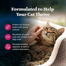 Dry Cat Food - BLUE Wilderness - Salmon Recipe - Adult