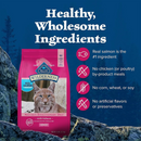 Dry Cat Food - BLUE Wilderness - Salmon Recipe - Adult