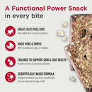 Slow Baked Dog Treat - Functional Granola Bars - Omega Skin & Coat