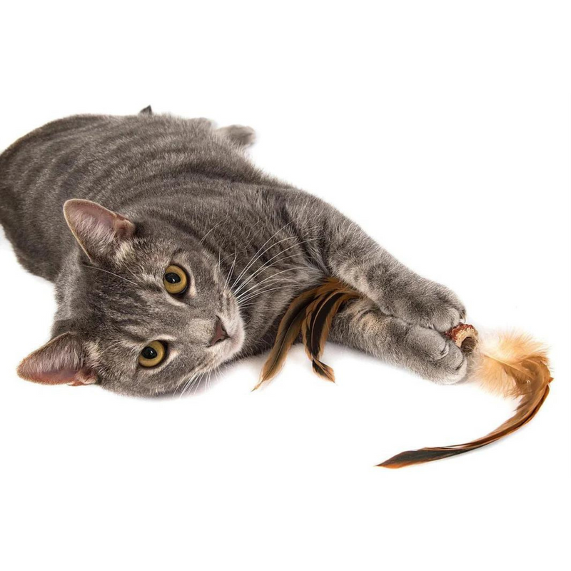 Cat Toy - Corn Feather Flywheel