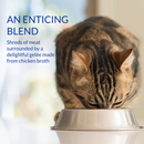 猫零食小菜 - CHURU Stew系列 - 鸡肉缤纷装