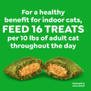 Cat Treat - Feline SmartBites Healthy Indoor - Chicken Flavor