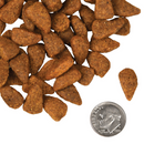 Dry Dog Food - FOUR STAR - Chicken au Frommage Recipe