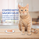 Contrôle de chat à plat - Twins - poulet avec recette de fromage - 1,23 oz tasse, paquet de 2