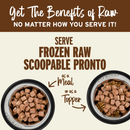 Dog Frozen Raw - SCOOPABLE PRONTO - Lamb Recipe - Adult