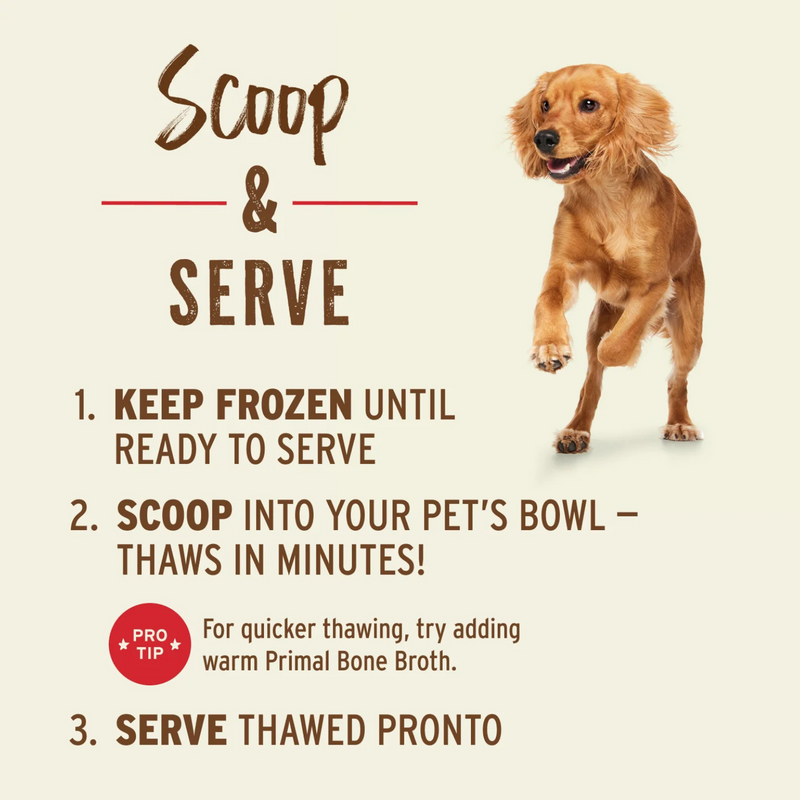 Dog Frozen Raw - SCOOPABLE PRONTO - Lamb Recipe - Adult