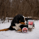 Frozen Raw Food - Gourmet Beef