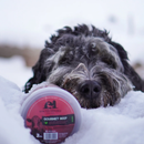 Frozen Raw Food - Gourmet Beef