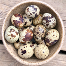 Frozen Quail Eggs