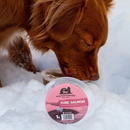 Frozen Raw Food - Pure Salmon