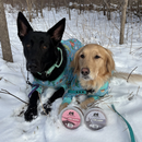 Frozen Raw Food - Pure Salmon