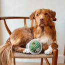 Frozen Raw Food Topper - Pure Beef Tripe