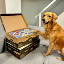 Frozen Raw Food - The Pure Case